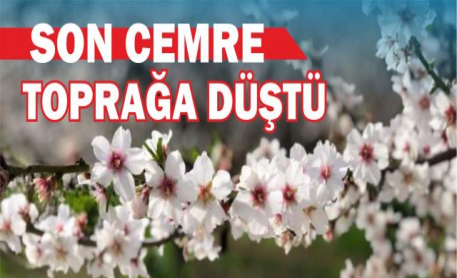 Cemre toprağa düştü